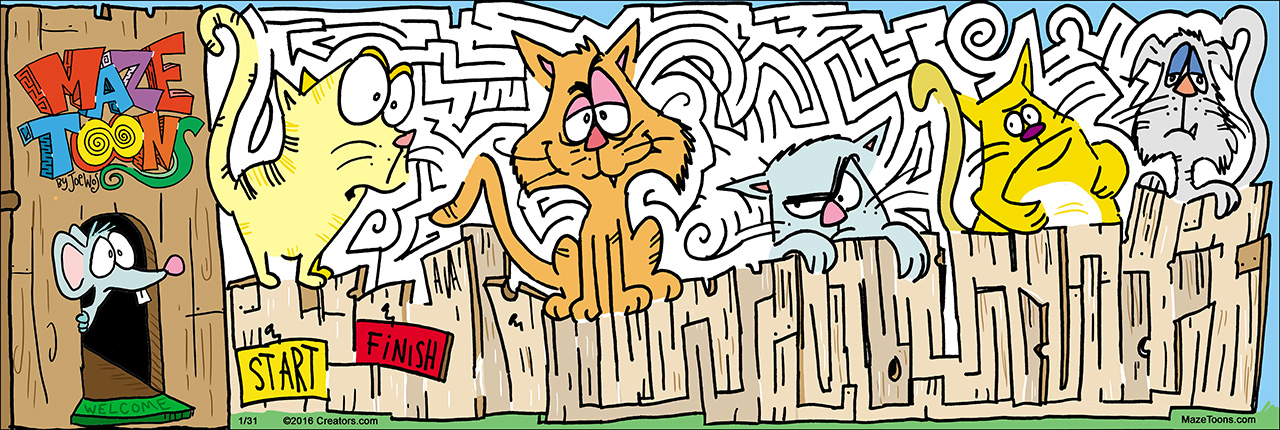 Alley Cats Maze, MazeToons Sunday January 24th